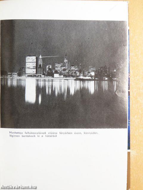 Egy francia házaspár Amerikában