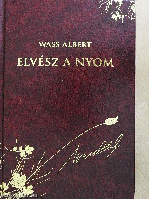 Elvész a nyom