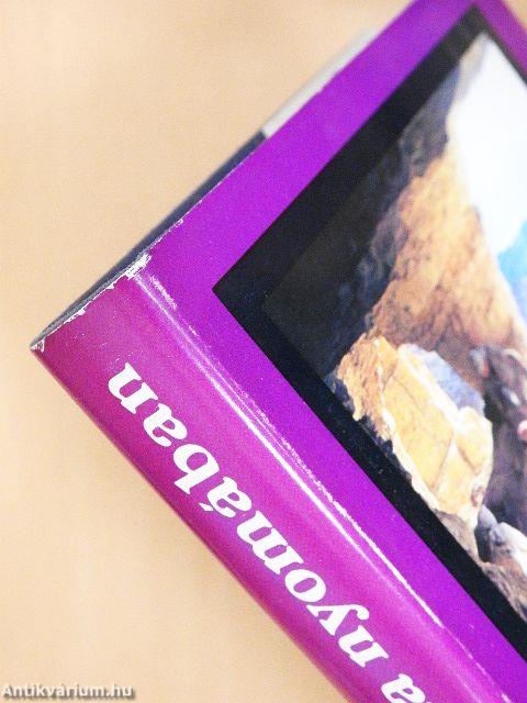 Ásóval a Biblia nyomában