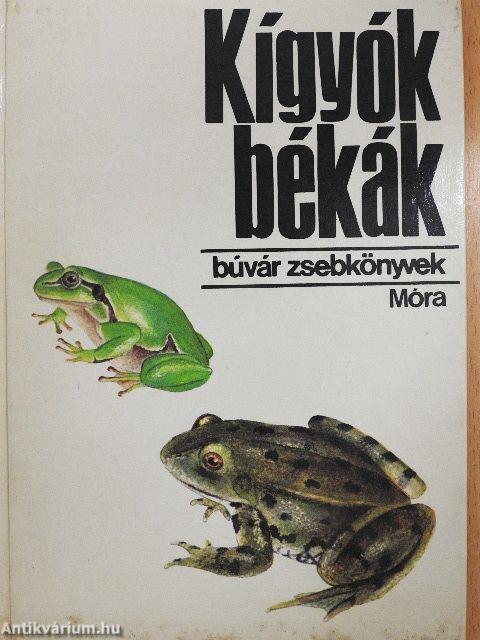 Kígyók, békák