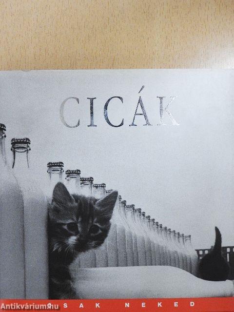 Cicák - képkavalkád