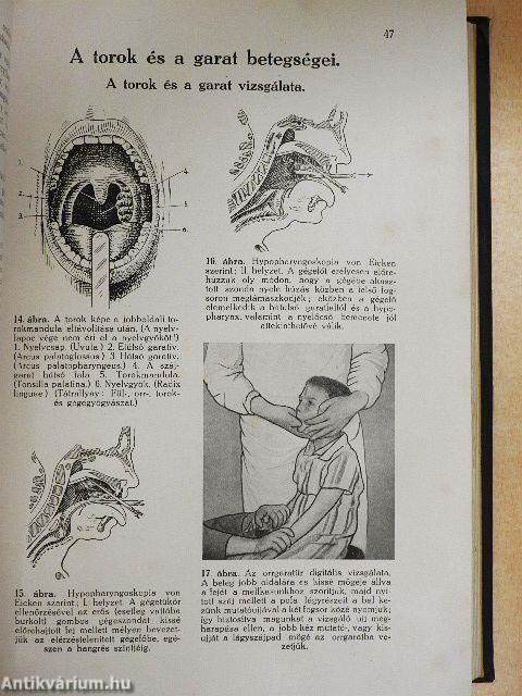 A légzési szervek betegségei