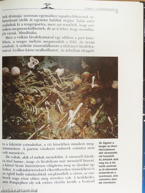 Merre visz a végzet