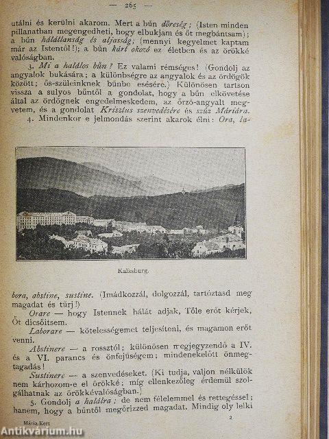 Mária-kert 1894. január-december/1895. (nem teljes évfolyam)