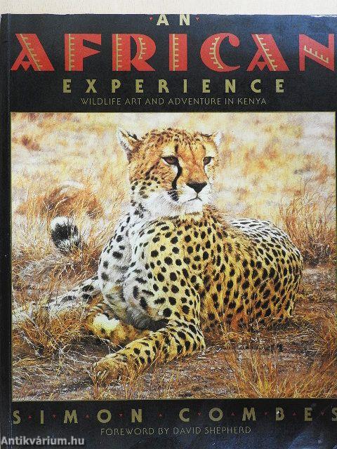 An African Experience