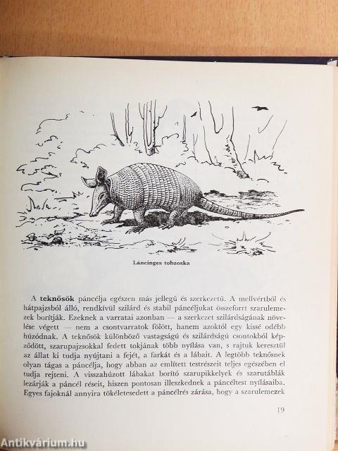 Az állatok fegyverei