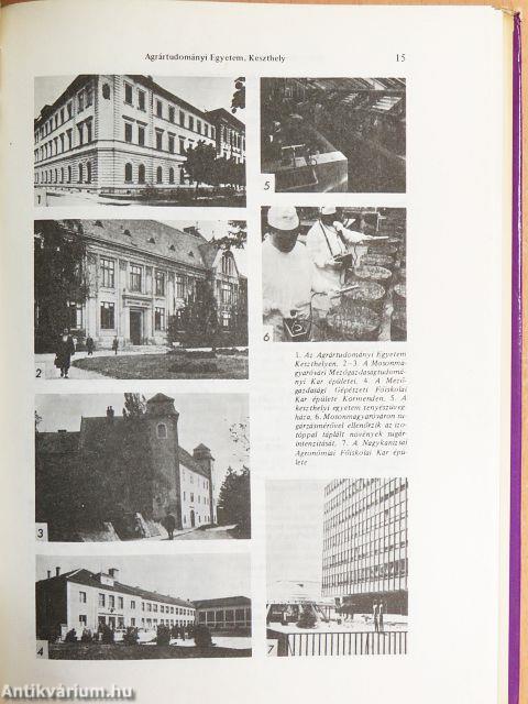 Pedagógiai lexikon I-IV. 