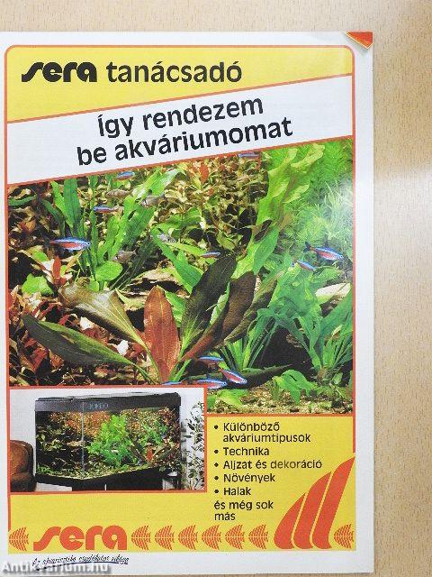 Így rendezem be akváriumomat