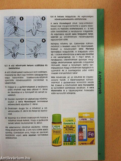 Így rendezem be akváriumomat