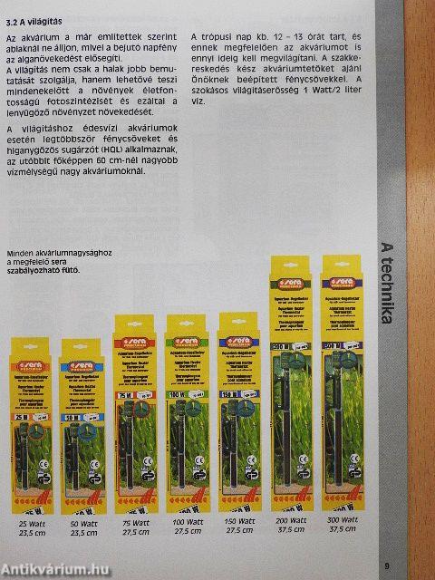 Így rendezem be akváriumomat