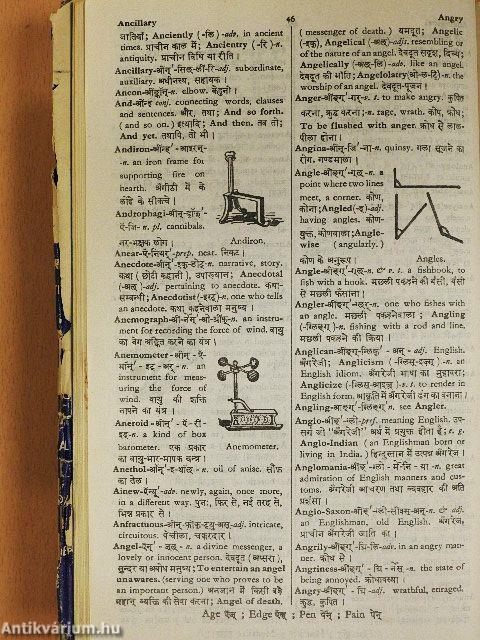 Bhargava's Standard Illustrated Dictionary of the English Language