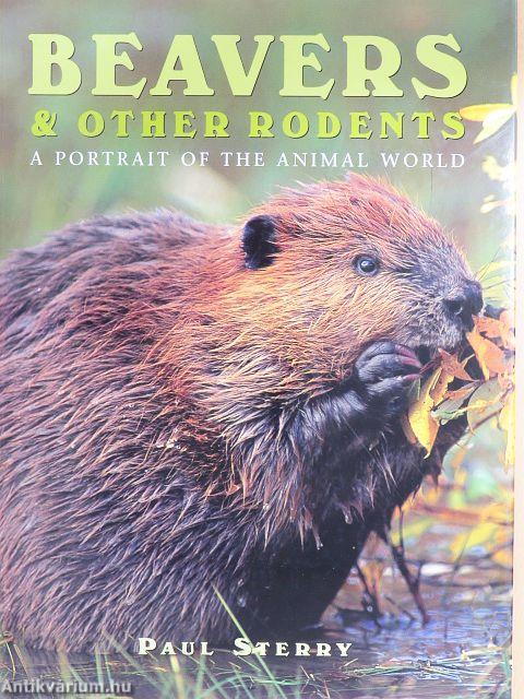 Beavers & Other Rodents