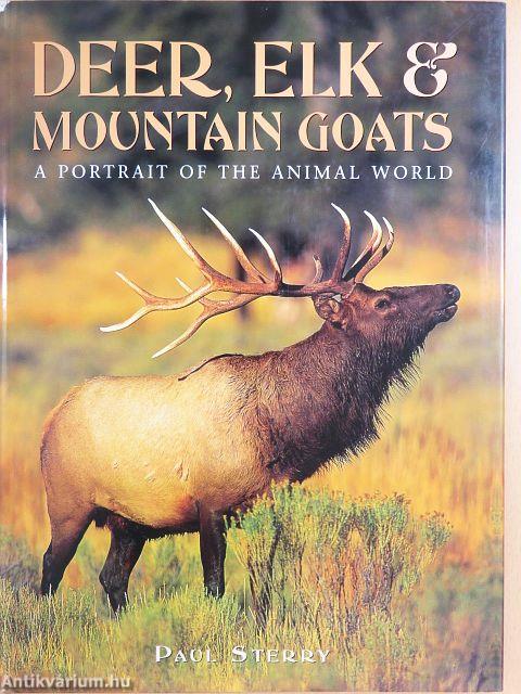 Deer, Elk & Mountain Goats