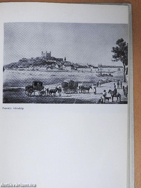 Wesselényi Miklós és világa