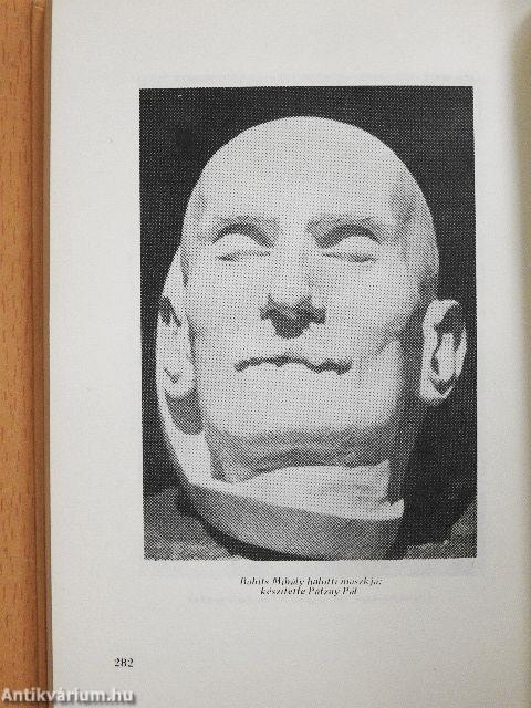 Szemelvények a Babits emlékkönyvből