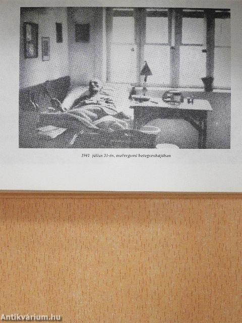 Szemelvények a Babits emlékkönyvből