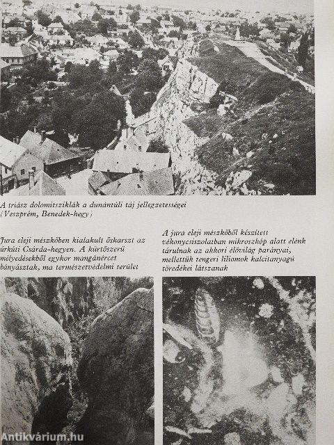 Évmilliók emlékei