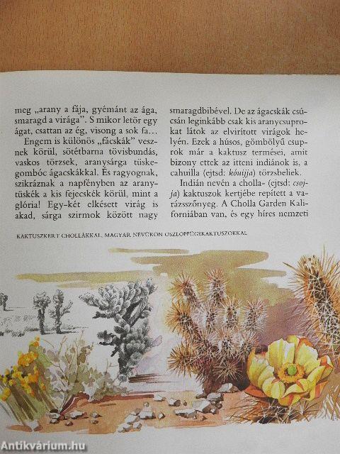 A gyalogkakukk sivatagja