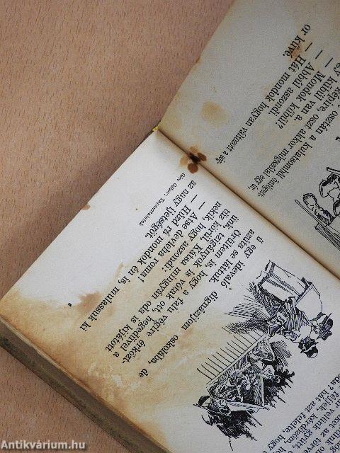 Göre Gábor biró úr könyve/Tapasztalatok