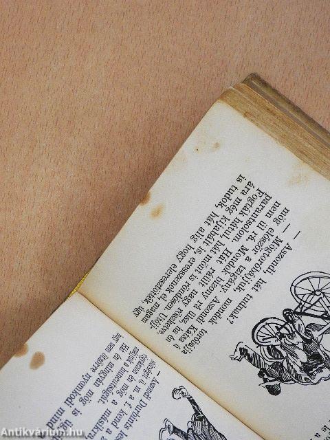 Göre Gábor biró úr könyve/Tapasztalatok