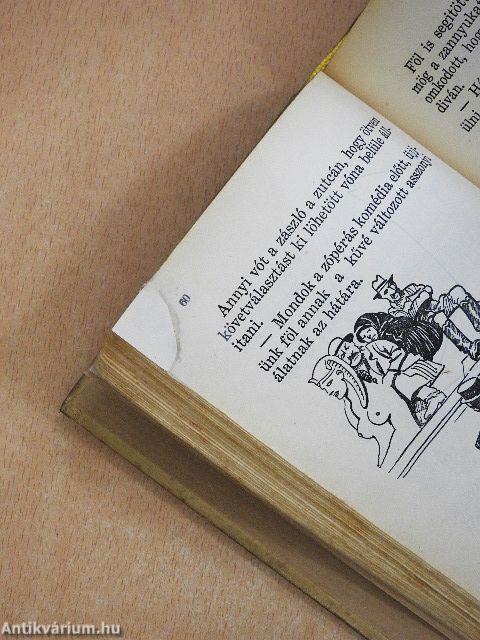 Göre Gábor biró úr könyve/Tapasztalatok