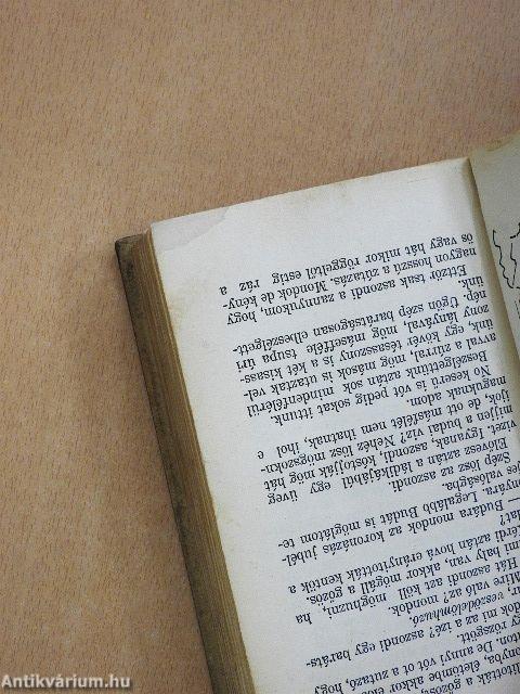 Göre Gábor biró úr könyve/Tapasztalatok