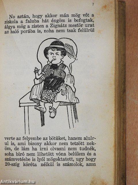 Göre Gábor biró úr könyve/Tapasztalatok