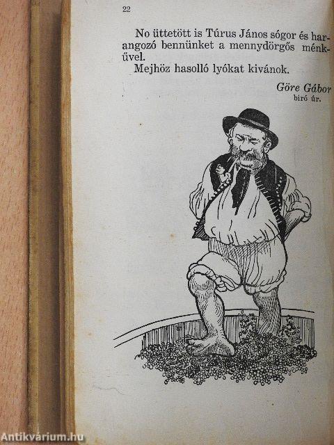 Göre Gábor biró úr könyve/Tapasztalatok