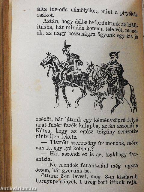 Göre Gábor biró úr könyve/Tapasztalatok