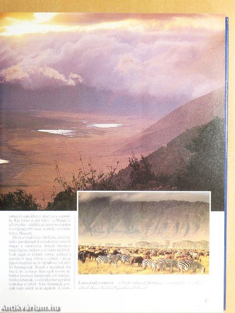 Varázslatos Föld körüli utazás