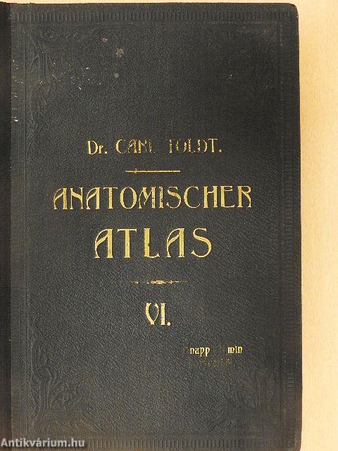 Anatomischer Atlas für studierende und Ärzte VI.