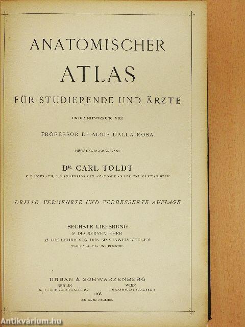 Anatomischer Atlas für studierende und Ärzte VI.