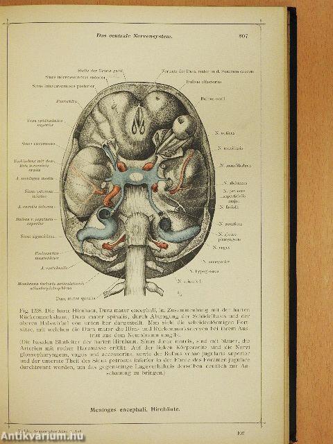 Anatomischer Atlas für studierende und Ärzte VI.