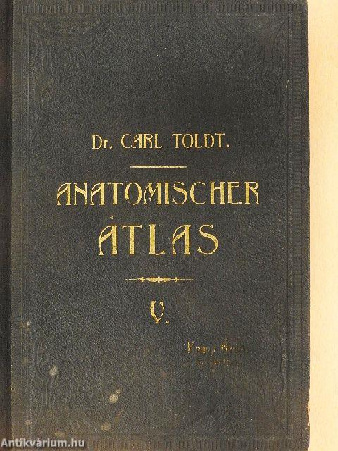 Anatomischer Atlas für studierende und Ärzte V.