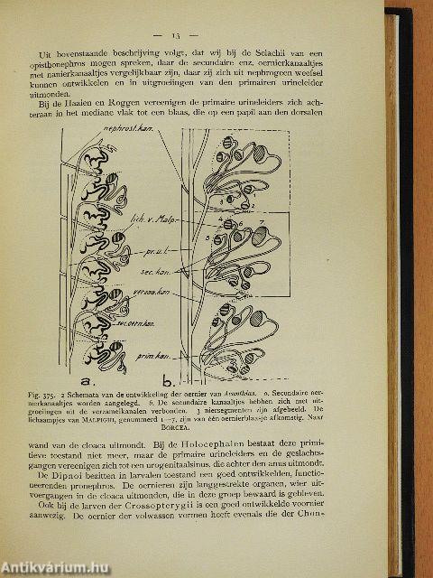 Leerboek der vergelijkende ontleedkunde van de vertebraten II.