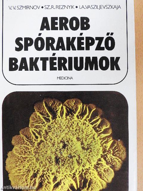 Aerob spóraképző baktériumok