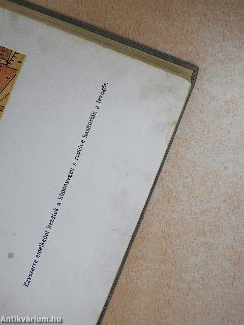 Magyarország lovagvárai