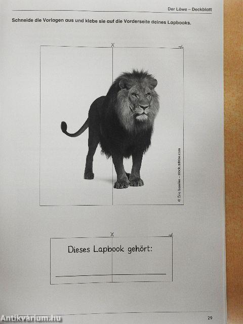 Lapbooks: Wildtiere