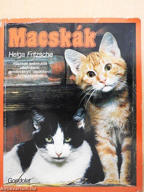 Macskák