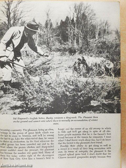 The Upland Game Hunter's Bible