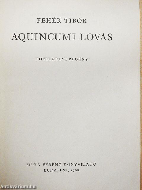 Aquincumi lovas