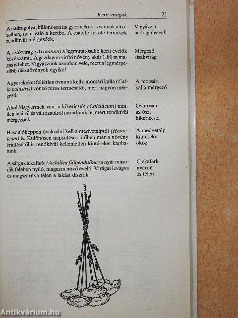 Ezer ragyogó ötlet hobbikertészeknek