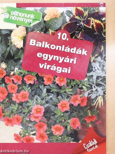 Balkonládák egynyári virágai