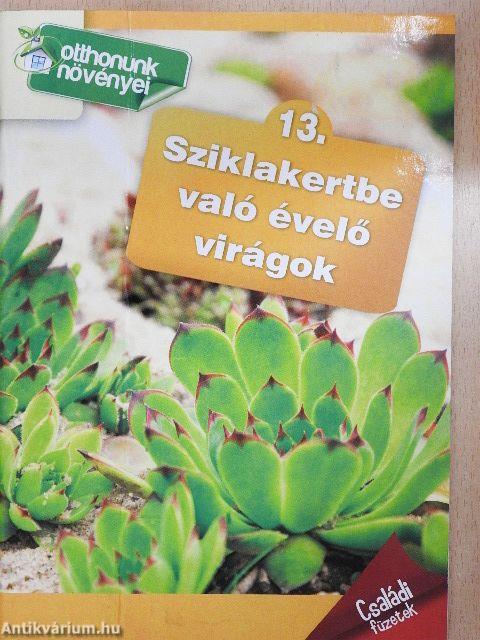 Sziklakertbe való évelő virágok