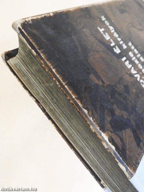 Udvari élet a franczia királyok alatt