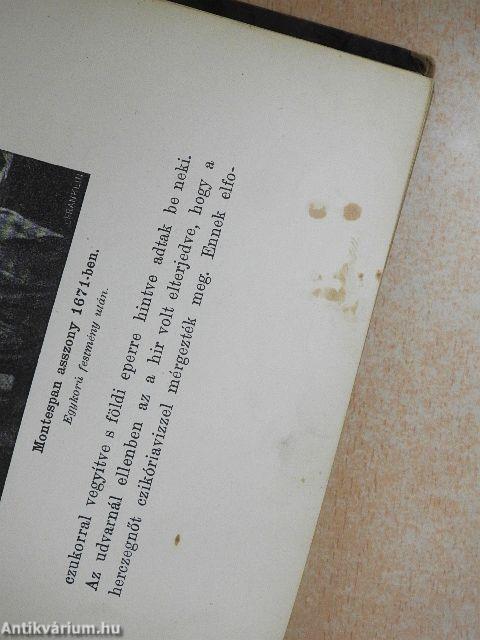 Udvari élet a franczia királyok alatt