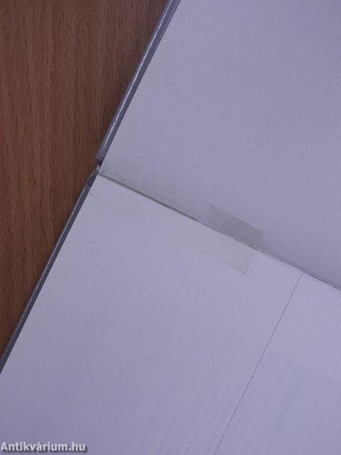 Zlot wielkich zaglowców w Szczecinie