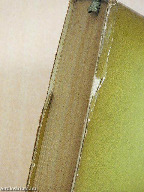 Ez mind én voltam egykor