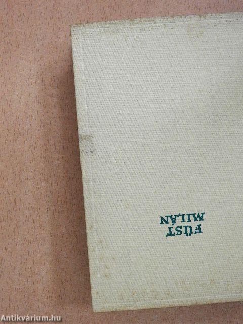 Ez mind én voltam egykor