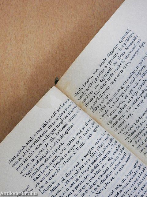 Ez mind én voltam egykor